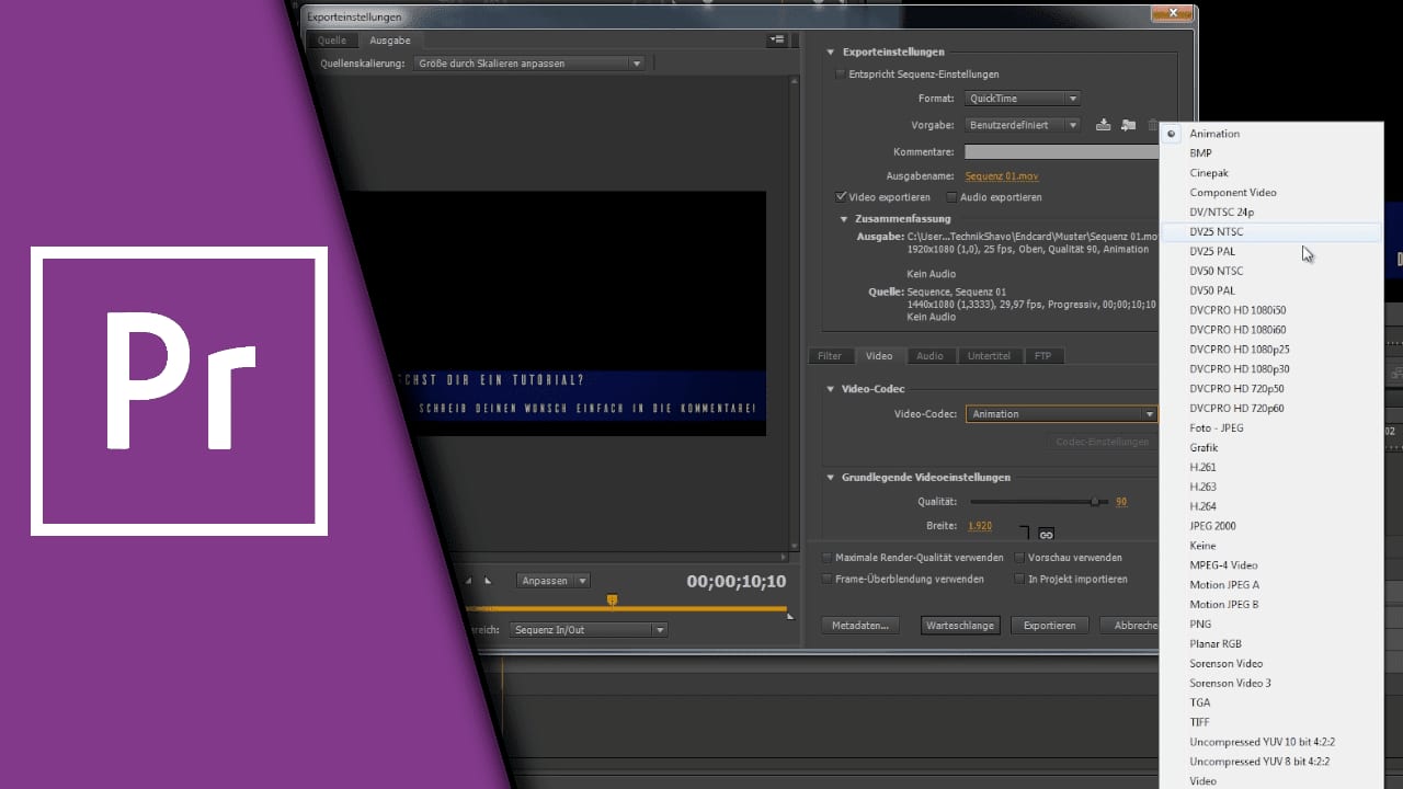 Premiere Pro transparentes Video Premiere Pro transparentes Video